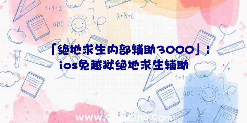 「绝地求生内部辅助3000」|ios免越狱绝地求生辅助